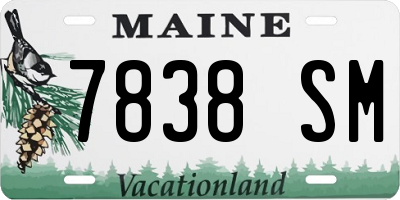 ME license plate 7838SM