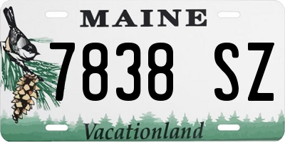 ME license plate 7838SZ
