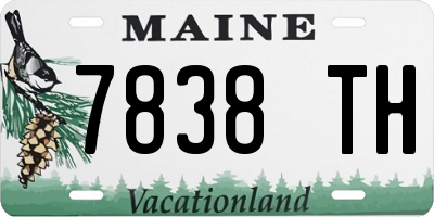ME license plate 7838TH