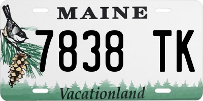 ME license plate 7838TK