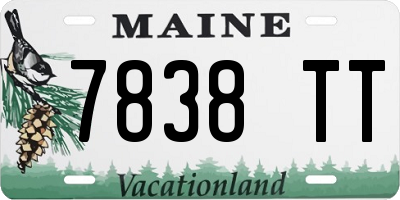 ME license plate 7838TT