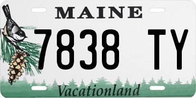 ME license plate 7838TY