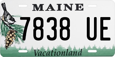 ME license plate 7838UE