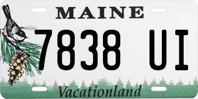 ME license plate 7838UI