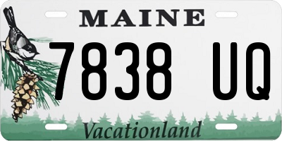 ME license plate 7838UQ