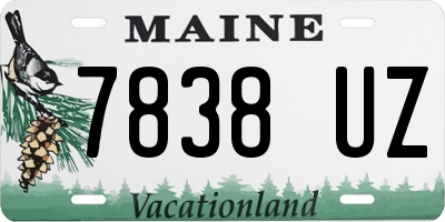 ME license plate 7838UZ