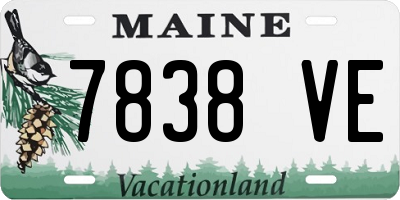 ME license plate 7838VE