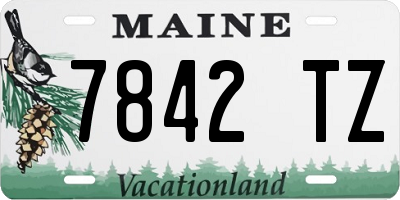 ME license plate 7842TZ
