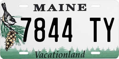 ME license plate 7844TY