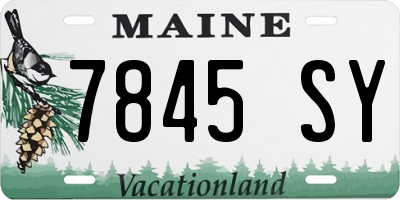 ME license plate 7845SY