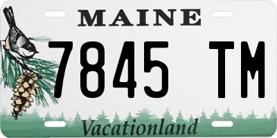 ME license plate 7845TM