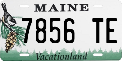 ME license plate 7856TE