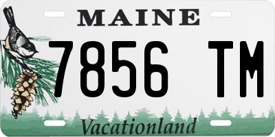 ME license plate 7856TM
