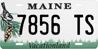ME license plate 7856TS