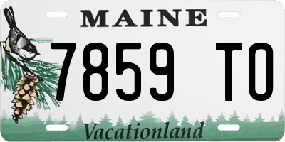ME license plate 7859TO