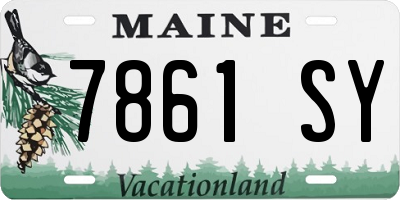 ME license plate 7861SY