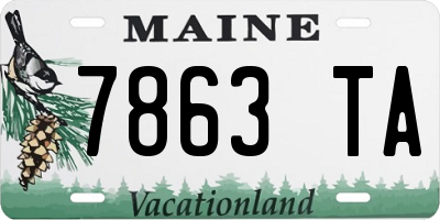 ME license plate 7863TA