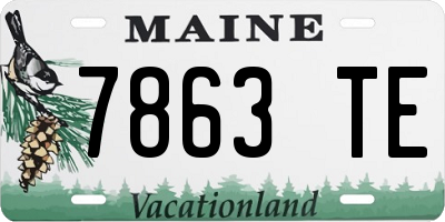 ME license plate 7863TE