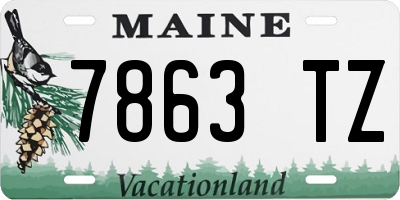 ME license plate 7863TZ