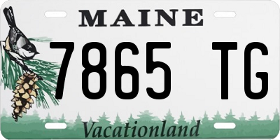 ME license plate 7865TG