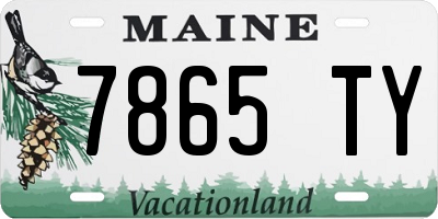 ME license plate 7865TY