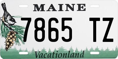 ME license plate 7865TZ