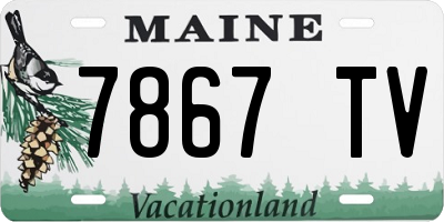 ME license plate 7867TV