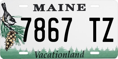 ME license plate 7867TZ