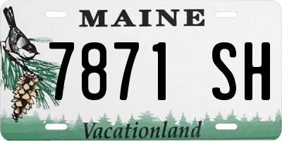 ME license plate 7871SH