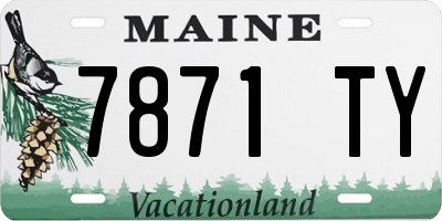 ME license plate 7871TY