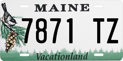 ME license plate 7871TZ