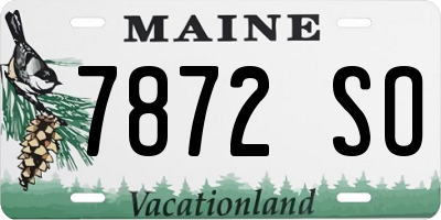 ME license plate 7872SO