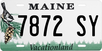 ME license plate 7872SY