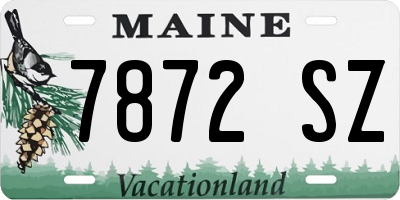 ME license plate 7872SZ