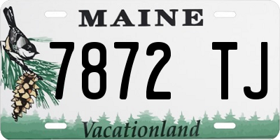 ME license plate 7872TJ