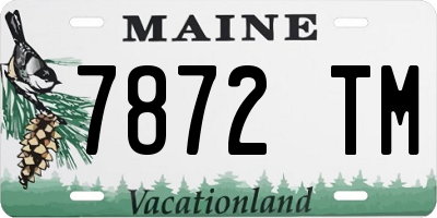 ME license plate 7872TM
