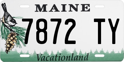 ME license plate 7872TY