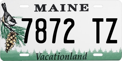 ME license plate 7872TZ