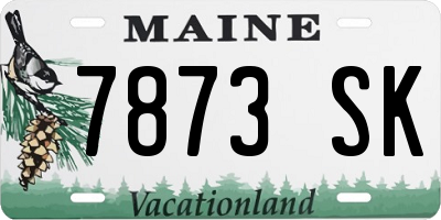 ME license plate 7873SK