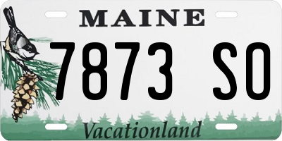 ME license plate 7873SO