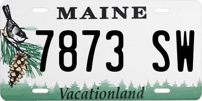 ME license plate 7873SW