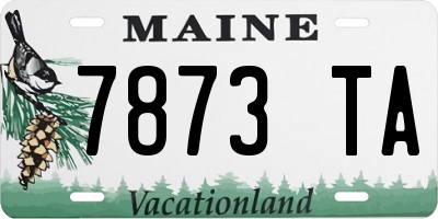 ME license plate 7873TA