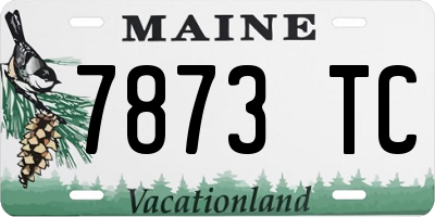 ME license plate 7873TC