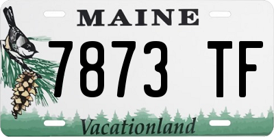 ME license plate 7873TF