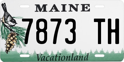 ME license plate 7873TH