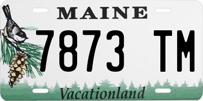 ME license plate 7873TM