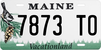 ME license plate 7873TO