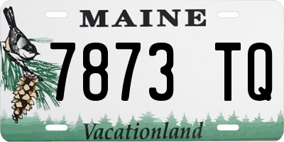 ME license plate 7873TQ
