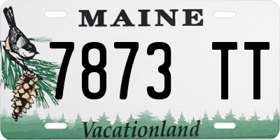 ME license plate 7873TT