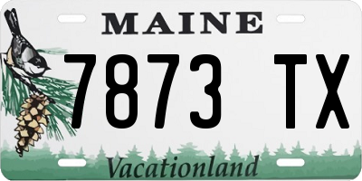ME license plate 7873TX
